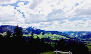 Ausblick