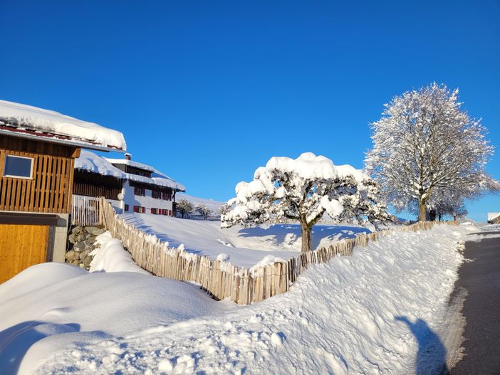 Hühnerfreilauf im Winter