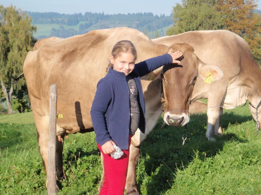 es darf auch gestreichelt werden