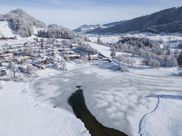 Eibele im Winter