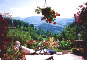 Terrassenausblick