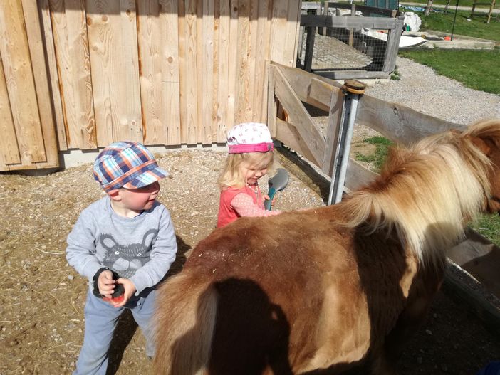 Kinder mit Ponys