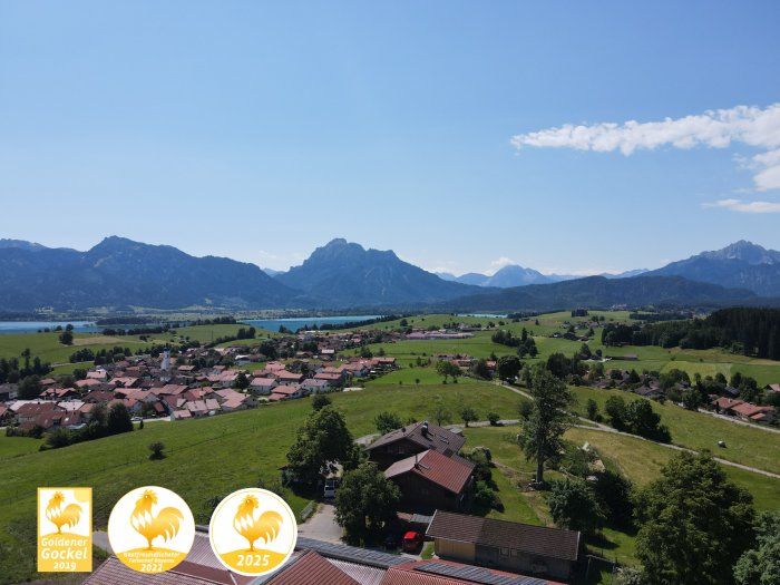 Sonnige Alleinlage über dem Forggensee mit Weitblick auf Berge und Königsschlösser