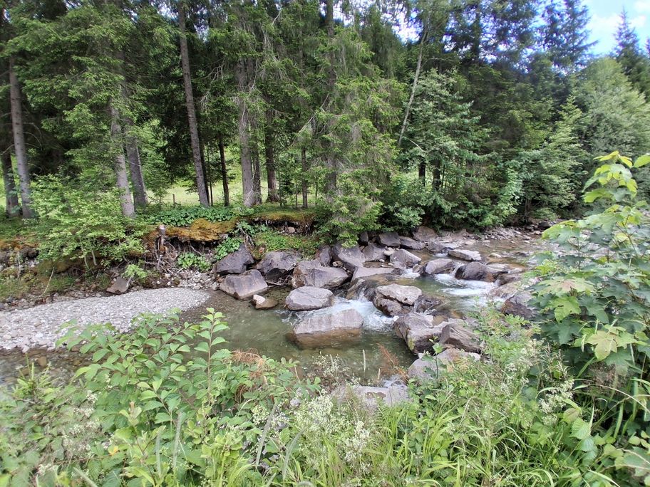 Gunzesried: Birkachmoor