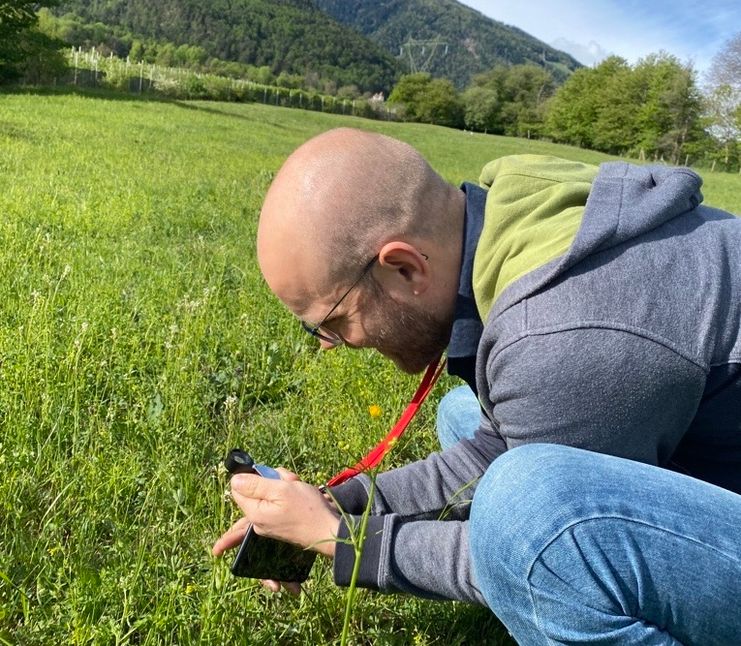 Mann fotografiert Pflanzen