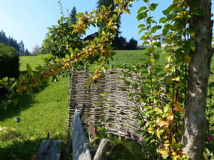 Herbsttage