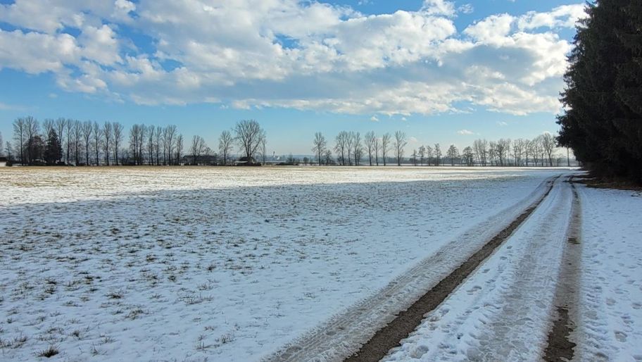 Stadtwaldrunde in Buchloe