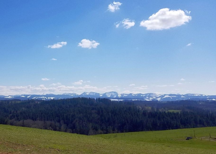 Die Alpenkette mit dem Hochgrat in der Mitte