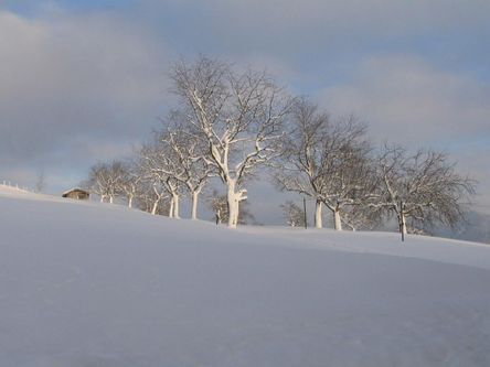 Wintertag in der Natur Abendstimmuntg am Haus