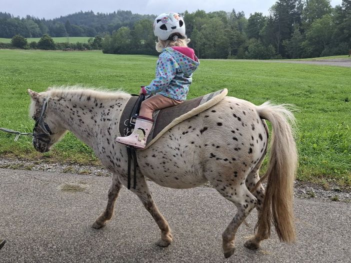 Ponyreiten auf Pünktchen