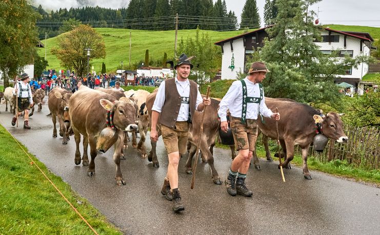 Meurers_Herbst_2017_0184