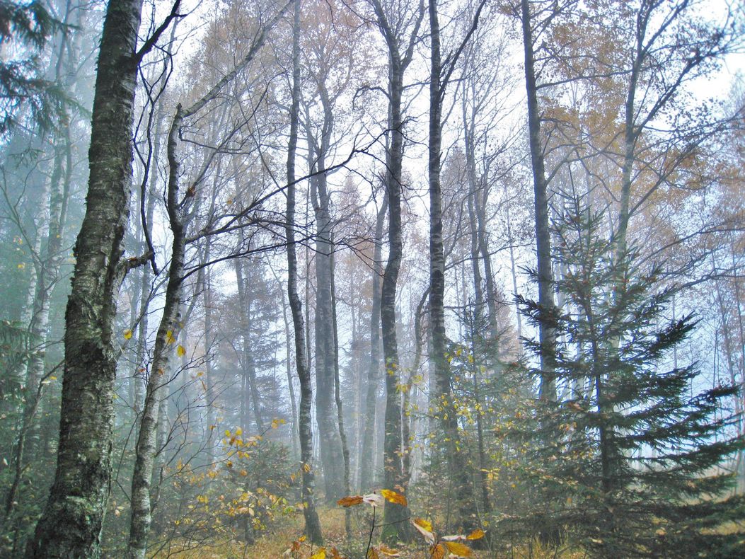 images =ktober 126b (3)