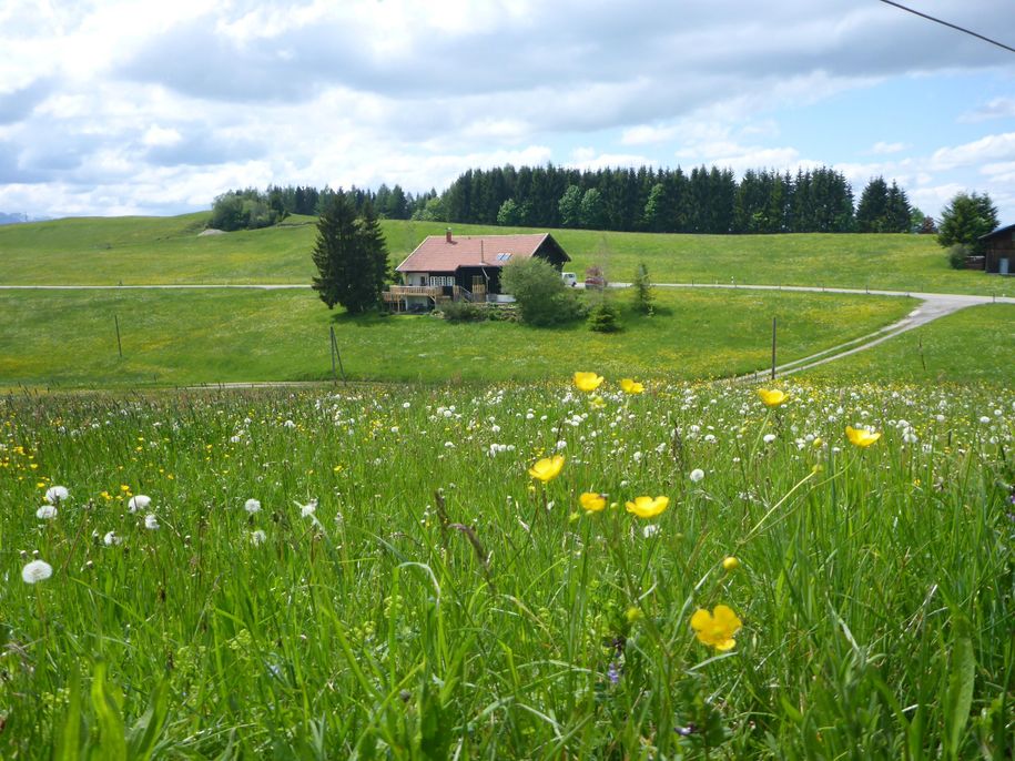 Blick auf die ehemalige Alpe