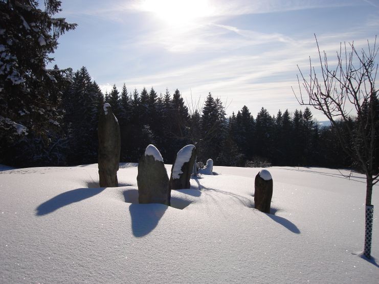 Winterlandschaft am Hanusel Winterwanderweg (1)