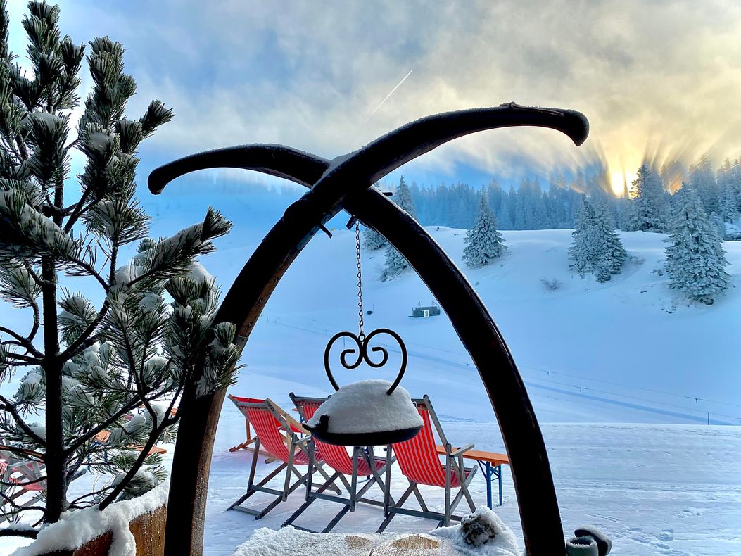 Nebelschauspiel vor dem Eingang