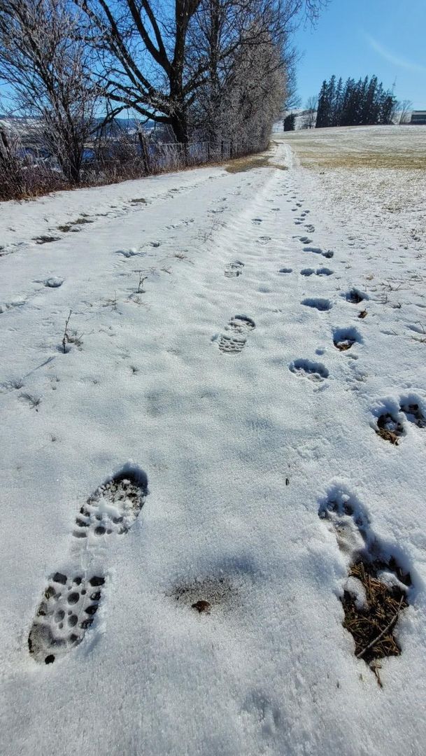 Sagenhafter Weg bei Altdorf zur Loretto-Kapelle