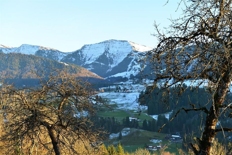 Hochgrat im Winterkleid