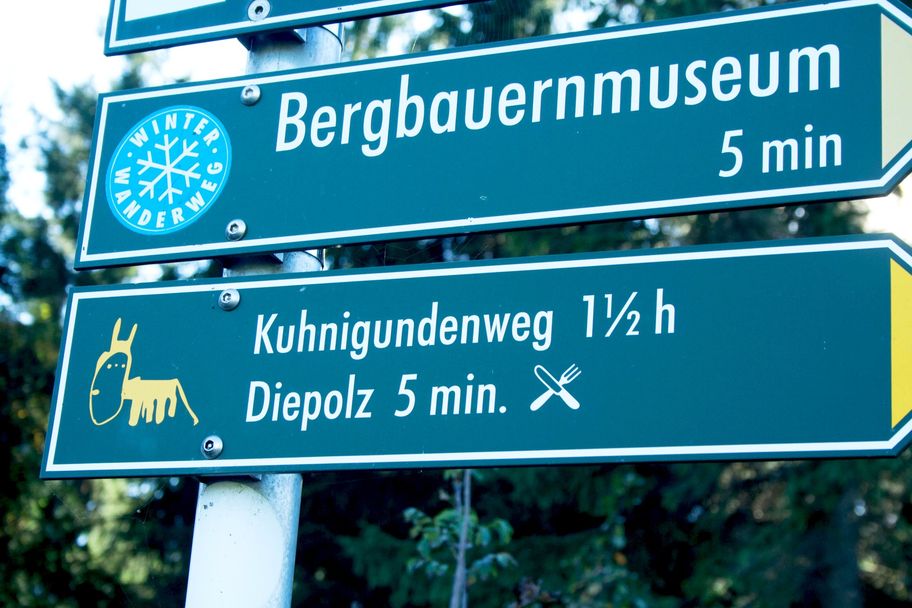 Immer der Kuhnigunde nach