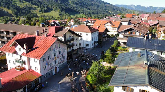 Viehscheid 1