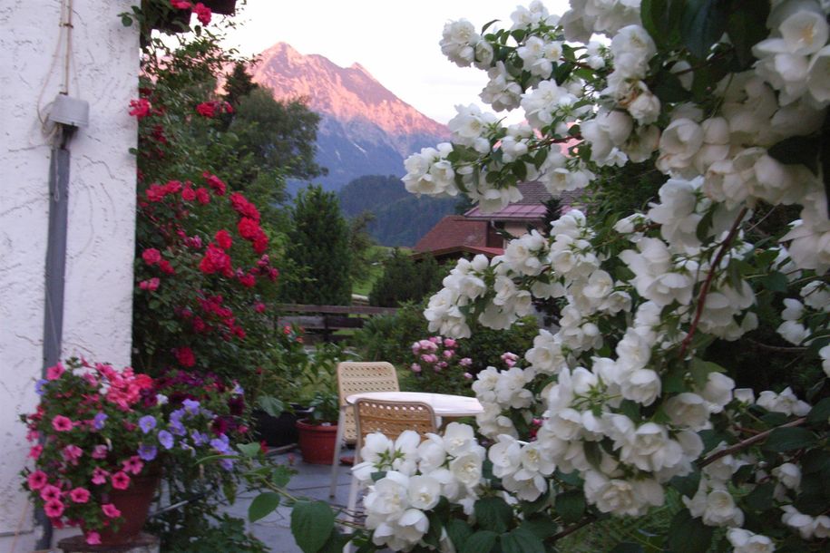 Frühsommerblüte im Garten, Haus Anton Obermaiselst