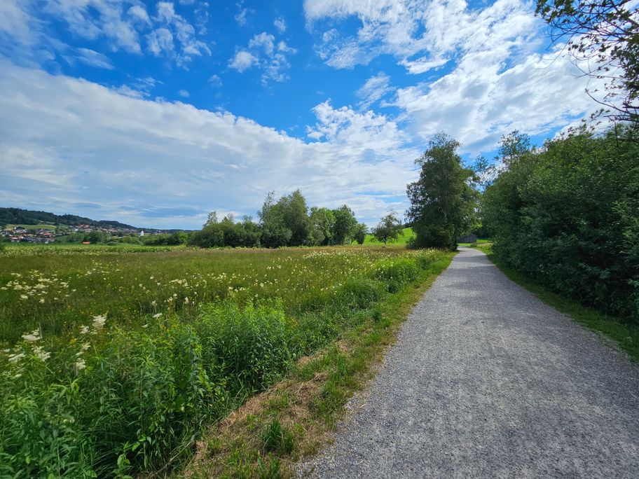 Hopfensee-Rundweg nahe Camping Hopfensee