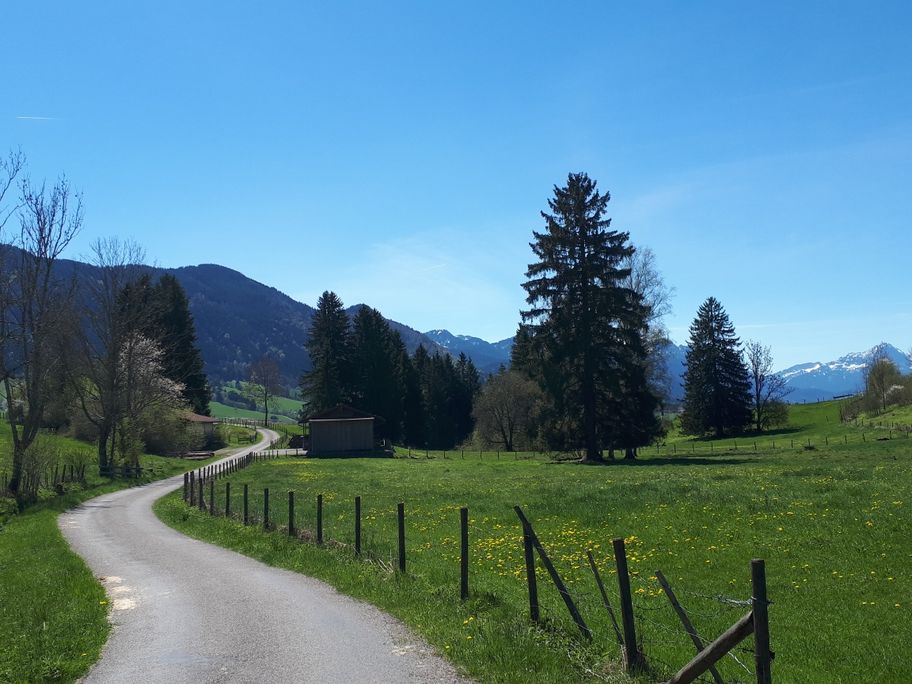 Auf dem Wanderweg zwischen Unterreithen und der Almstube
