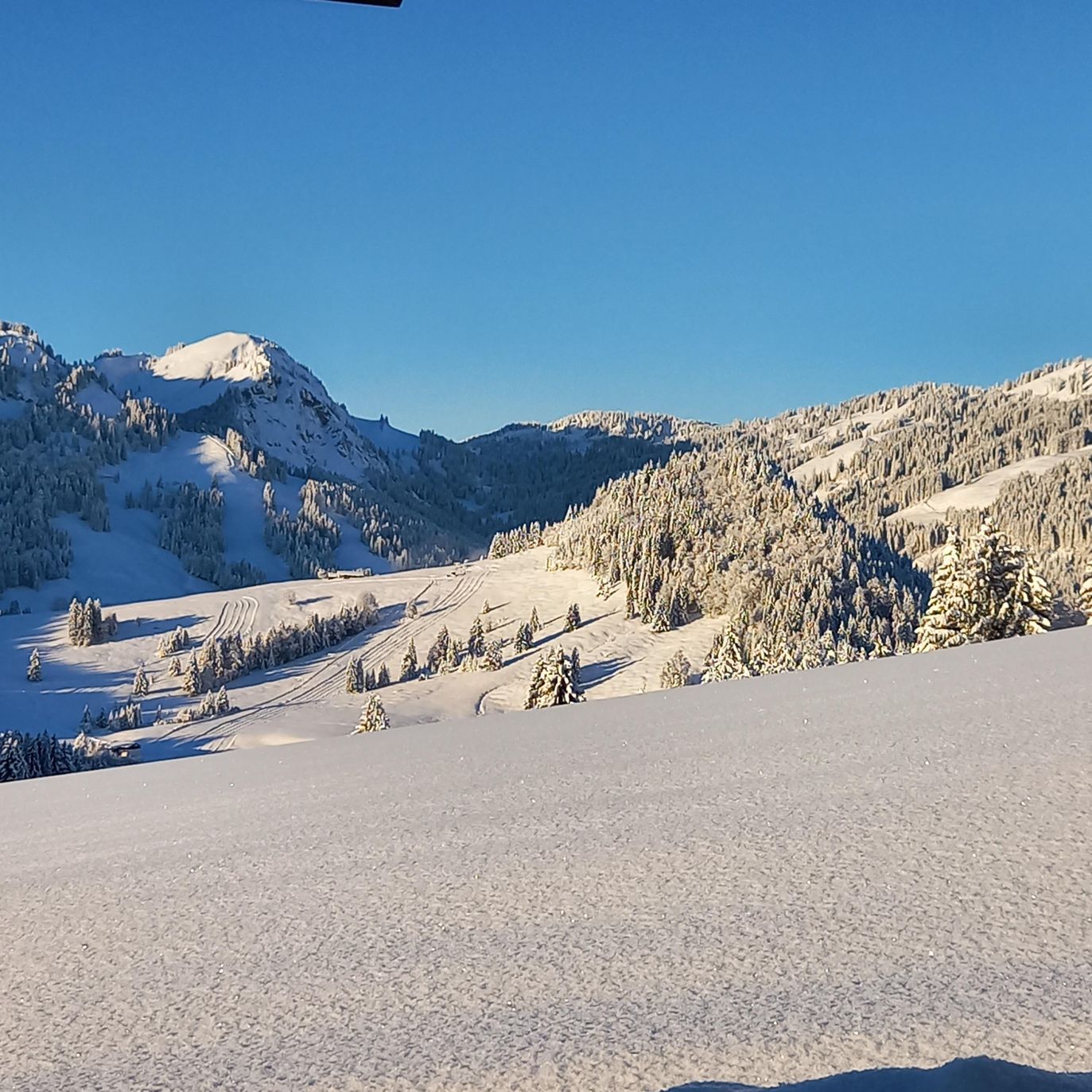 Bilck zum Sonnenhang und Spieserlift