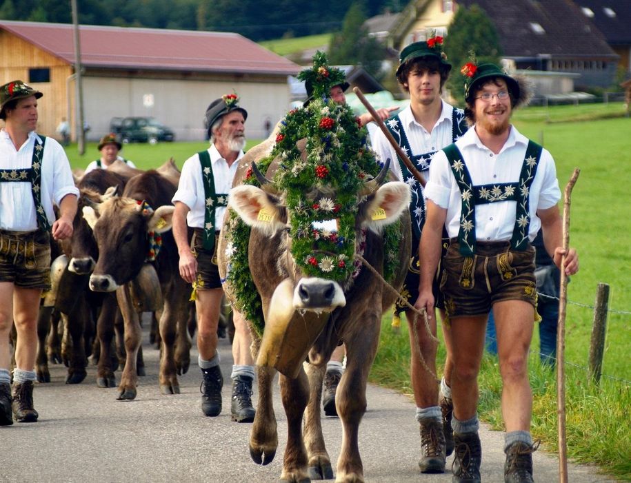 Viehscheid