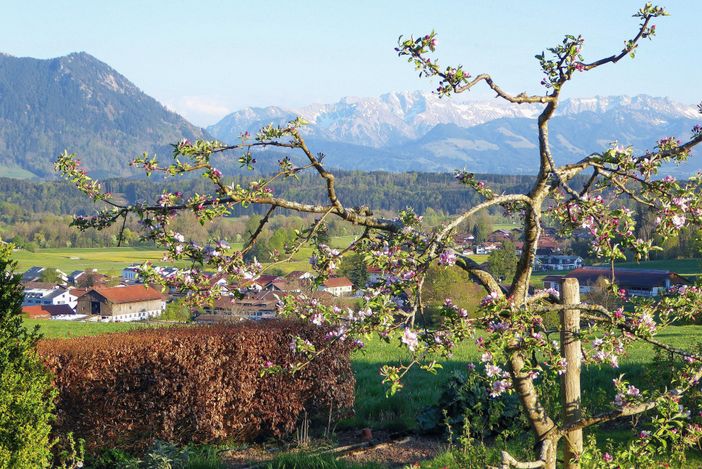 Aussicht vor dem Haus