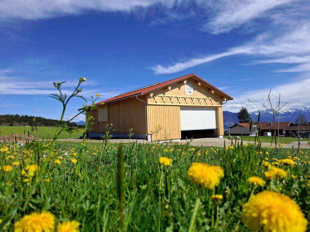 Mutterkuhstall auf der Kuhweide