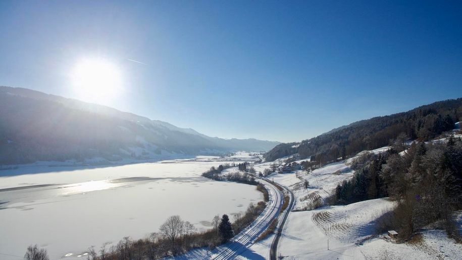 Ausschnitt Alpsee Winter