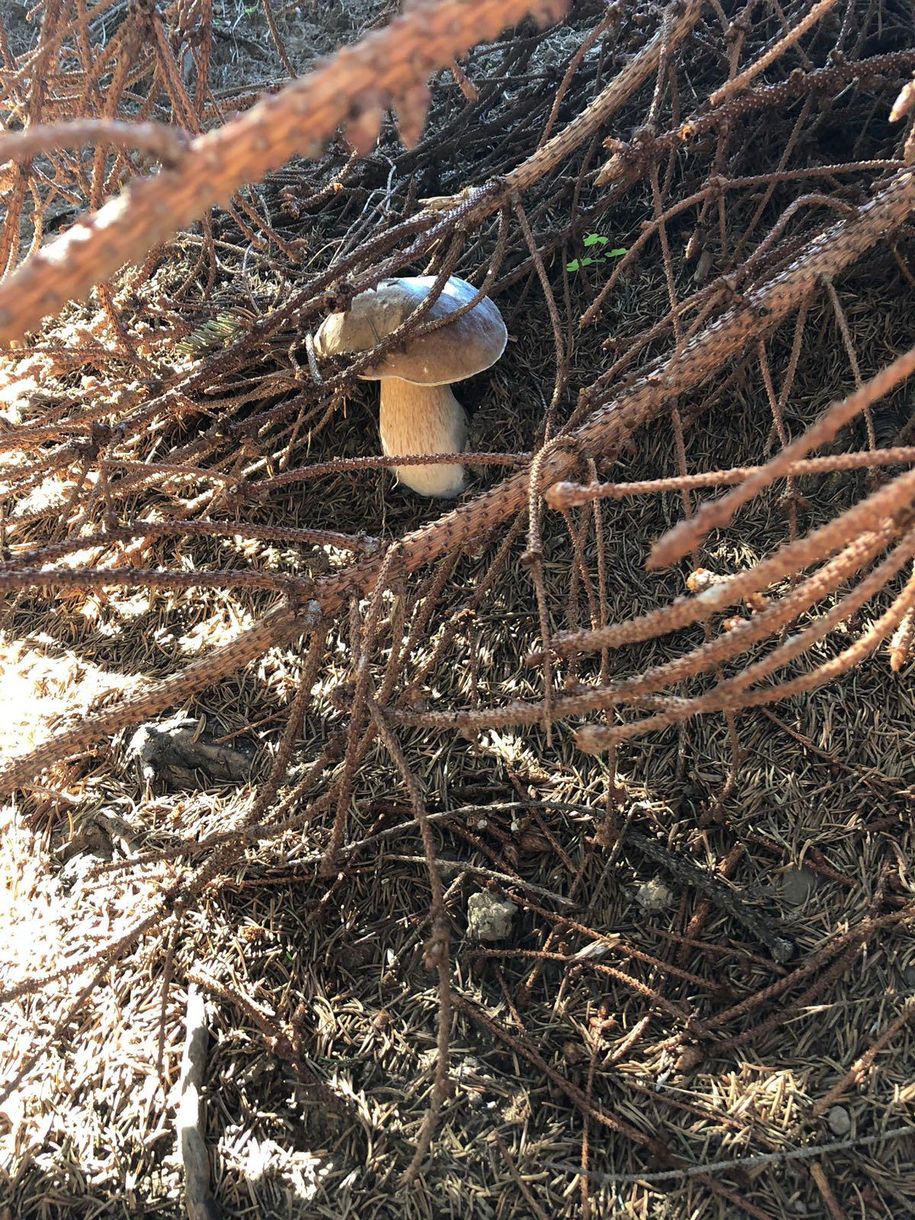 Unsere Natur