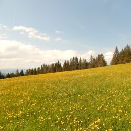Bild 22