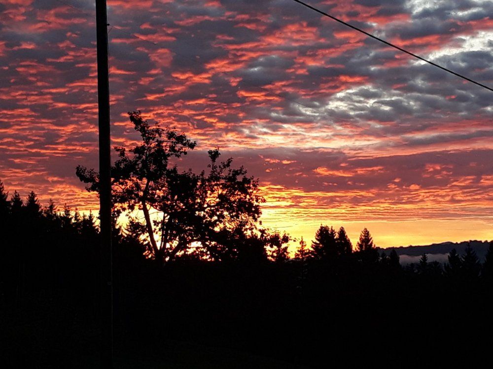 20190910_064417_ausschnitt_4128x2618