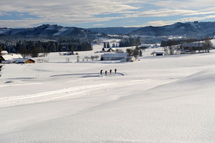 Langlauf im Voralpenland bei Isny Maierhöfen
