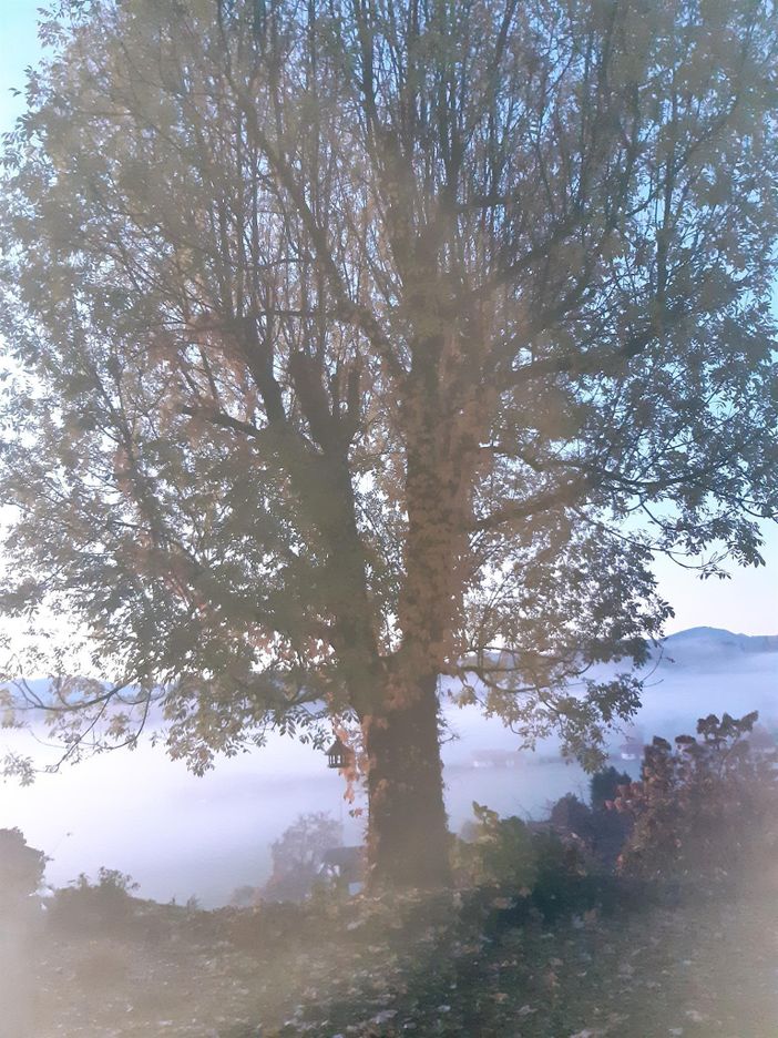 Herbststimmung