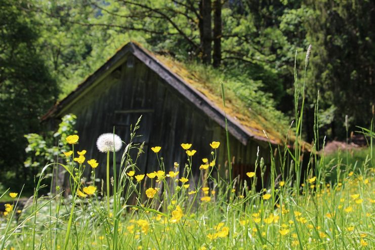 Alter Stadl im Vilstal