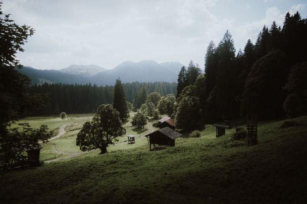 Gunzesrieder Tal