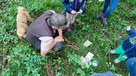 Tourismus Hörnerdörfer