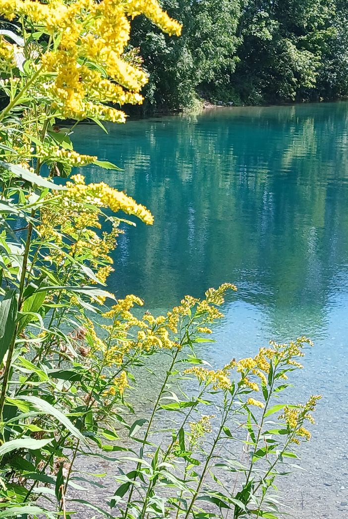 unser Baggersee