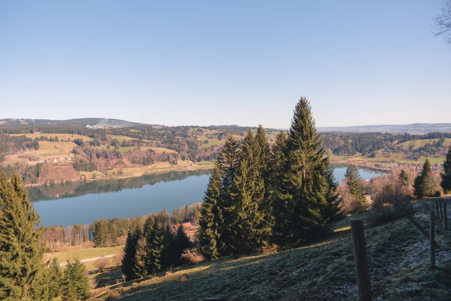 Weg zur Gschwenderbergalpe