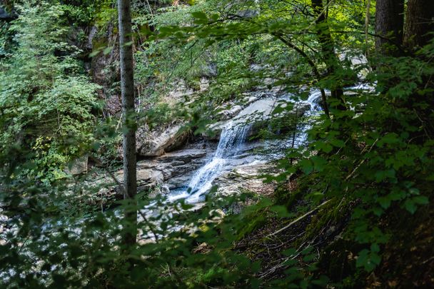 Bier-Genusswanderweg "Von Kranzegg auf den Grüntengrat" in Rettenberg