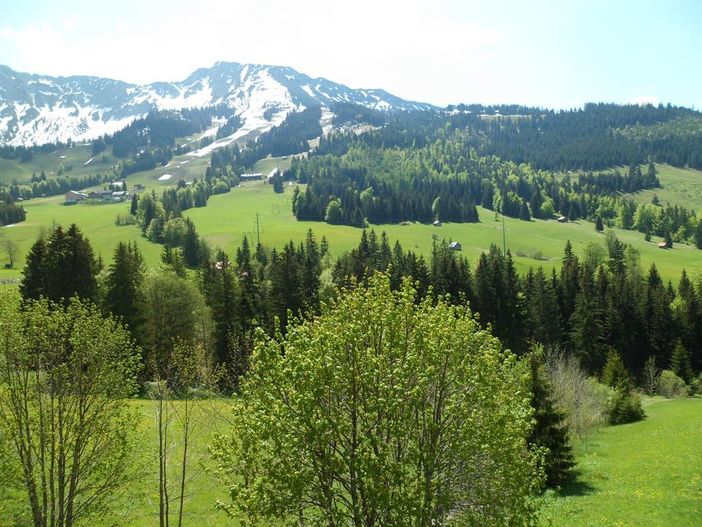 Blick zum Iseler