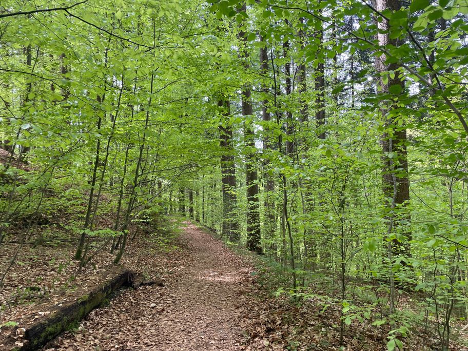 Wegeabschnitt