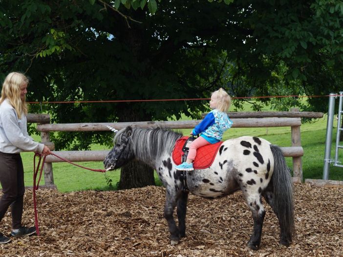 ponyreiten