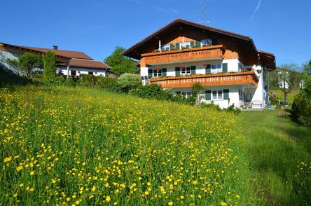 Unser Haus im Frühsommer