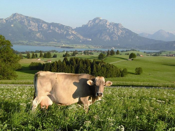 Kinker Bergblick