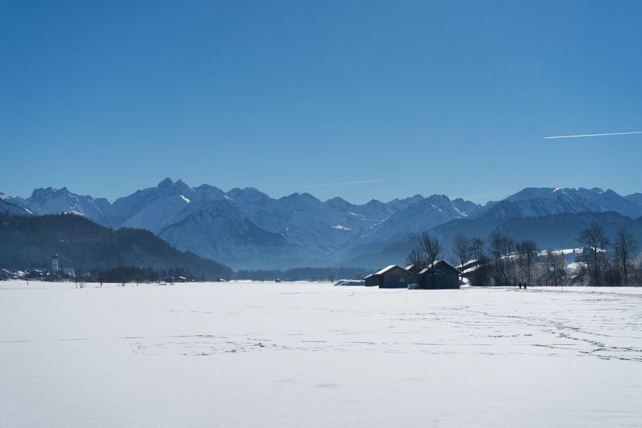 Winterliche Illerauen