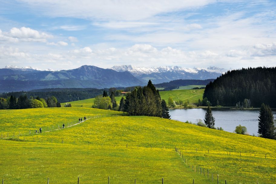 Auf und Ab durch die Adelegg