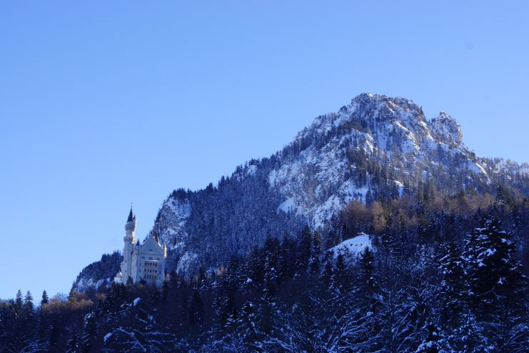 Blick auf Schloss Neuschwanstein